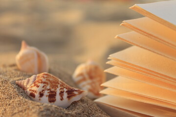 Poetry under the sunset