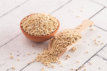 Bowl of Sprouted Sorghum on a Bright White Table