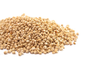 Pile of Sprouted Sorghum Isolated on a White Background