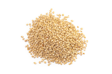 Pile of Sprouted Sorghum Isolated on a White Background