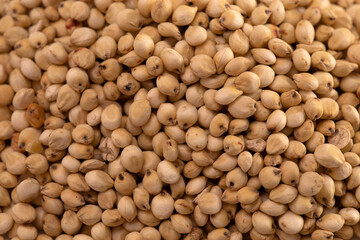 Background of Sprouted Sorghum Grains