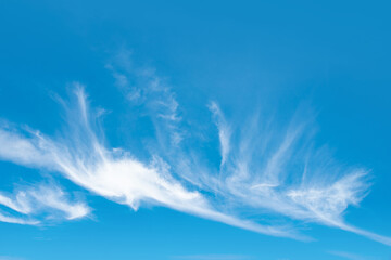 White cloud on blue sky.