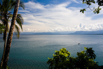 tropical island with palm trees