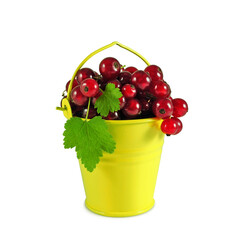 Ripe red currant with leaves in small yellow bucket isolated on white background