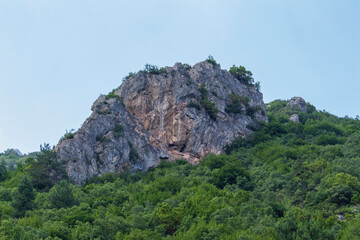 Naklejka premium big rock in the middle of forest cover