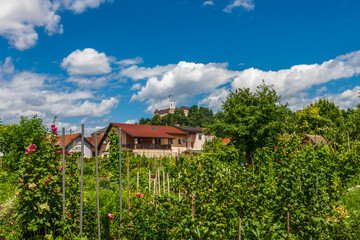 garden in the old town of Ljubljana with a view of the castle