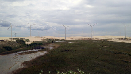 wind turbines in the field