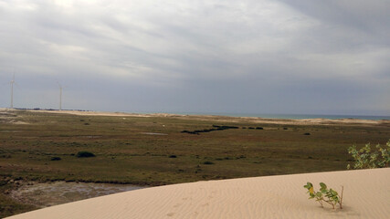 sand dunes in the coast