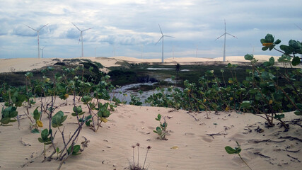 sand dunes and beach