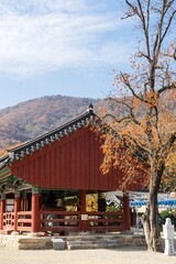 Temple at Seonunsa temple grounds in Gochang-gun, South Korea with autumn trees in the background