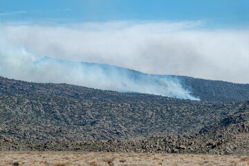 Smoke rises from a fire runner during the Twin wildfire which burned 25,000 acres in the South...