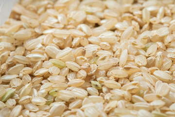 Close-up of yamani rice