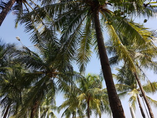 Obraz premium View of the sky