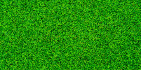 green grass background, football field
