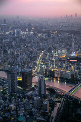 Fototapeta na wymiar Tokio skyline