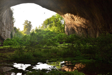 cave in the cave