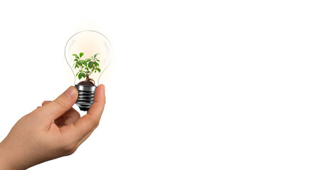 Woman hand holding green tree in light bulb. environmental protection and energy saving concept.