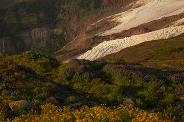 Creek going through a meadow in Mt Baker - Snoqualmie national Forest in Washington. 
