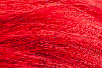 Bright red fur close-up, used as a background or texture. Soft focus