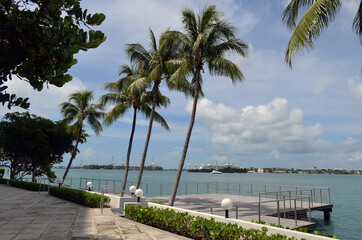 Tropical Miami Beach condo sundeck