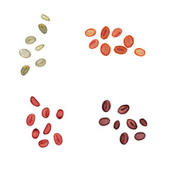 コーヒー豆　煎りのいろいろ