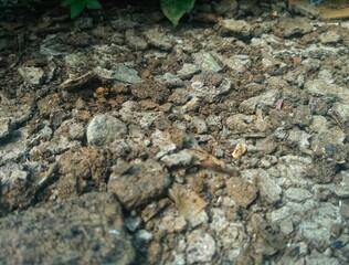 dry land that has beauty