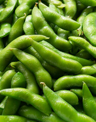 Japanese edamame close-up photo