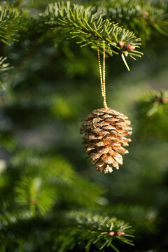 Christmas ornament