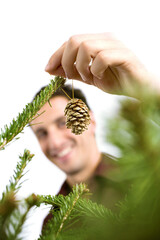 Decorating the Christmas tree