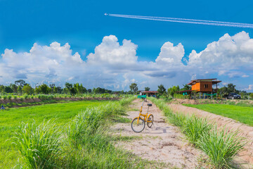 Landscape green paddy rice field with beautiful sky cloud in the countryside Thailand.