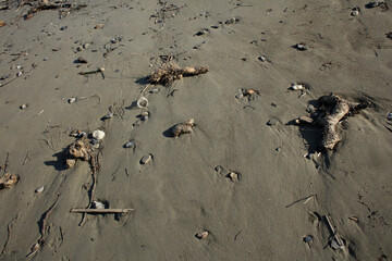 Beach ground macro modern background summer covid-19 season high quality prints kreta island