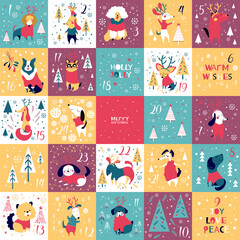 Dog Christmas Advent Calendar - 363067291