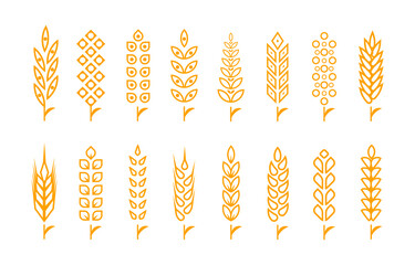 Set of wheat ears object and design elements for beer, organic local farm fresh food, bakery themed design