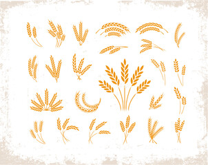 Set of wheat ears object and design elements for beer, organic local farm fresh food, bakery themed design