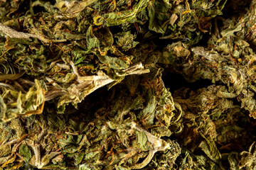 Macro shoot of dry marijuana