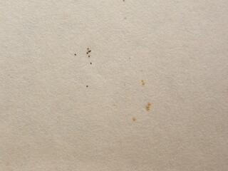 Old beige color paper textured background with stains