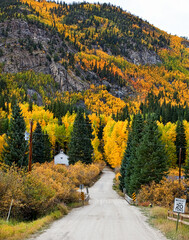 Fototapeta na wymiar Fall Colors in Saint Elmo, Colorado