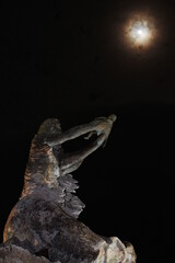 the moon in chetumal