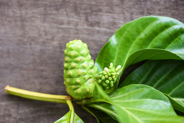 noni fruit on wooden background / fresh ripe and raw noni leaf - Great morinda (Noni) or Morinda citrifolia