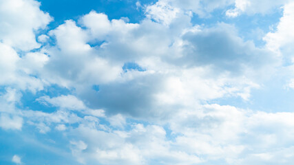 Obraz premium 青空