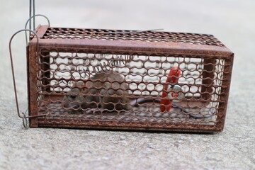 old wooden box with beads