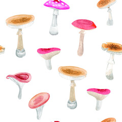 Mushrooms. Hand drawn watercolor painting on white background. Vector pattern - 363076281