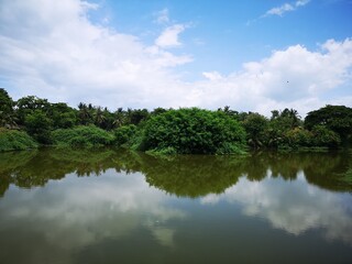 Fototapeta na wymiar Reflection Of Trees In Lake Against Sky
