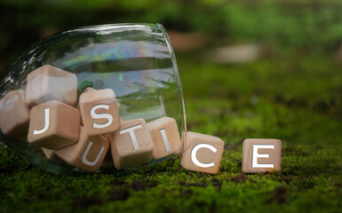 alphabet in wood Blocks for  illustration of Justice