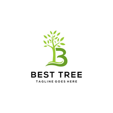 Creative Tree nature with B sign logo design sign vector template icon