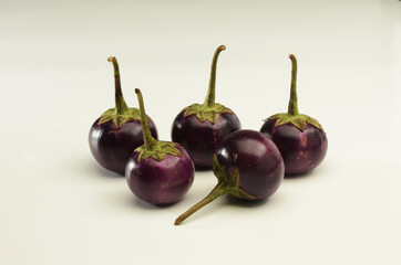 tropical baby eggplant, terong bulat