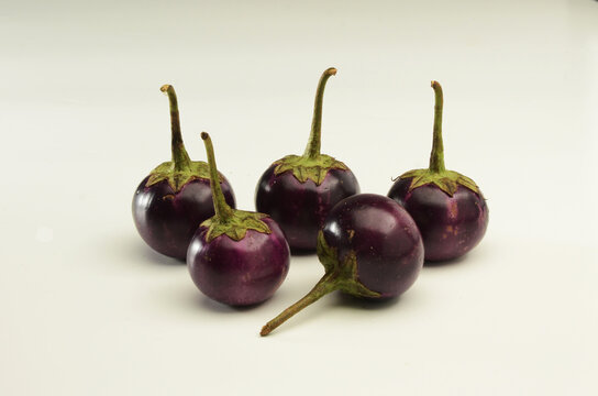 tropical baby eggplant, terong bulat