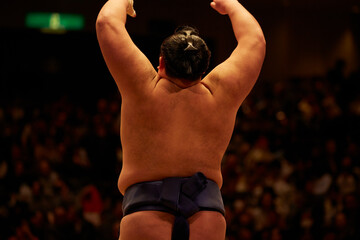 sumo