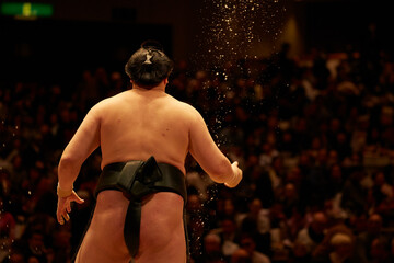 sumo