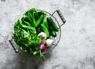 Fresh garden vegetables cucumbers, romaine lettuce, onions, herbs in a metal vintage basket on a...